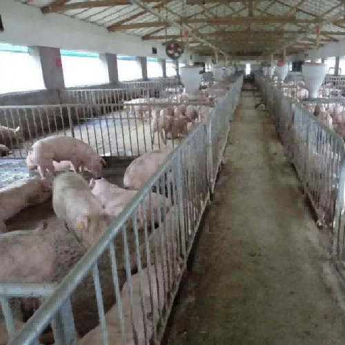 養(yǎng)殖場(chǎng)糞便處理進(jìn)程過(guò)濾應(yīng)用